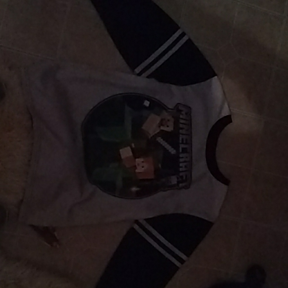 Minecraft T shirt